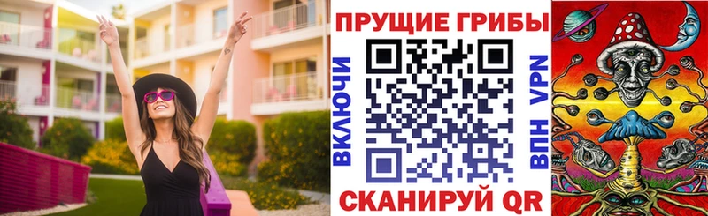 мориарти телеграм  blacksprut вход  Приволжск  Псилоцибиновые грибы GOLDEN TEACHER 